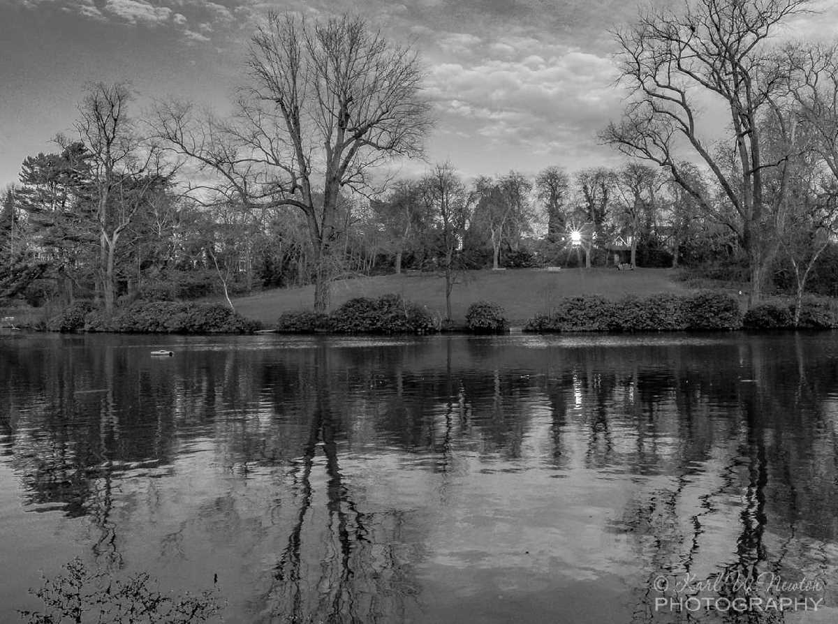 Moseley Park & Pool in Mono
